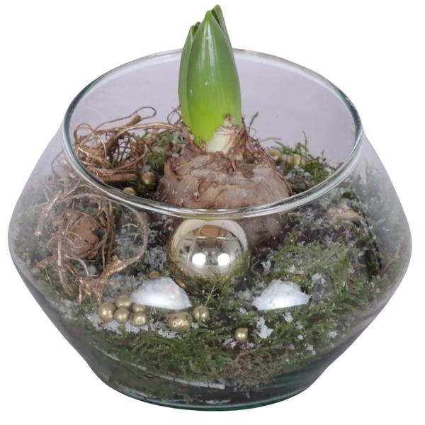 <h4>Christmas Arr. Hyacint Glass Oblique UFO Vase Ø15cm 1PP</h4>