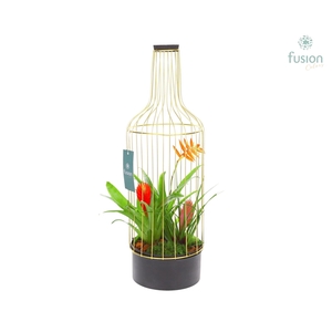 Fles metaal goudzwart Large met Bromelia