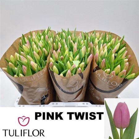 <h4>Tu En Pink Twist</h4>
