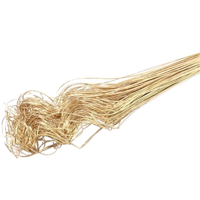 <h4>Droogdeco Curly TingTing 70cm 200g</h4>