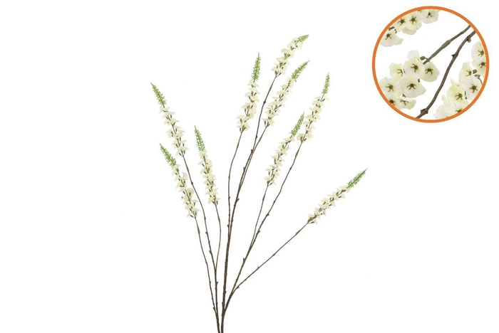 Silk Campanula Cream Single Stem 146cm Nm