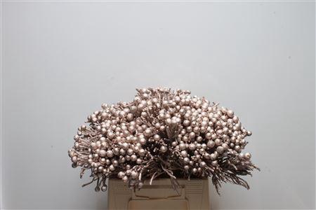 <h4>Kaaps Brunia Silver Champagne</h4>