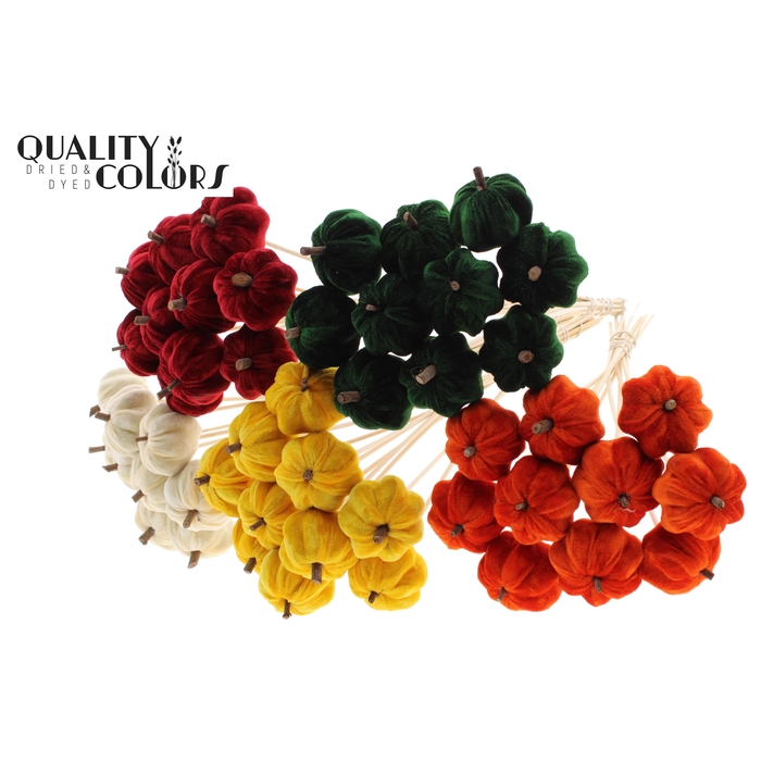 <h4>Velvet Pumpkin Ø6cm on stem Pumpkin Mix</h4>