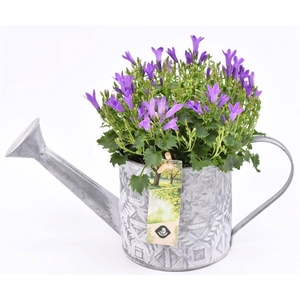 Zink gieter mix grijs 11cm