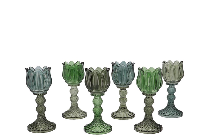 <h4>Bicolore Green Mix Bloom T-light Ass 8x18cm Nm</h4>