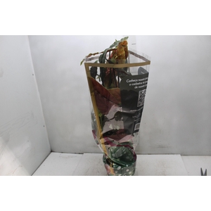 BEGONIA MACULATA P17 PO