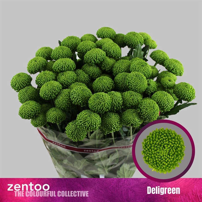 <h4>Chr T Deligreen</h4>