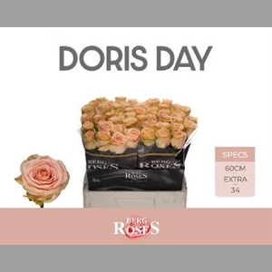 R Gr Doris Day