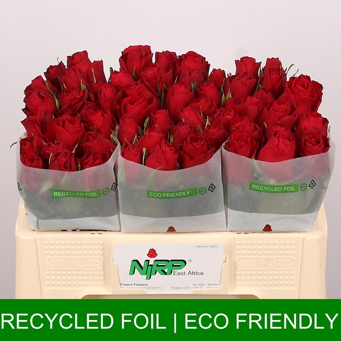 <h4>R GR RED ALERT</h4>