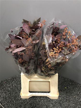 <h4>Euca Col Popu Bes Abs 150</h4>