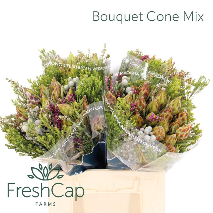 <h4>Bouquet Cone Mix</h4>