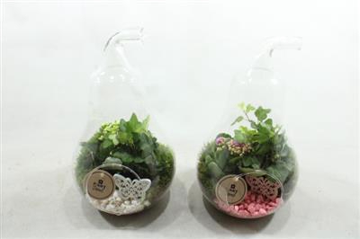 <h4>4890 Peer Ro/wit</h4>