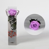 Roos op steel mini bright lilac plexi