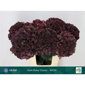 Hydr M Mag D Ruby Cl