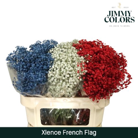 Gyps large paint french flag