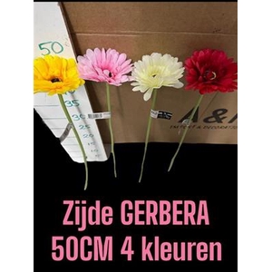 HUIS EN TUINDECO H% GERBERA