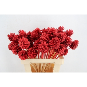 Stick Pine Cone Red