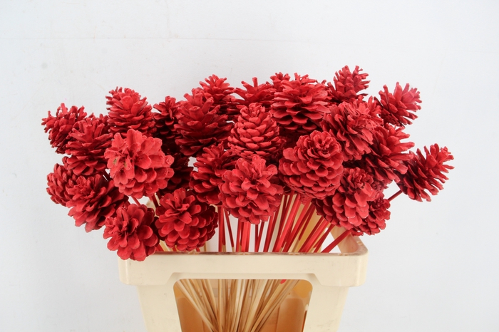 <h4>Stick Pine Cone Red</h4>