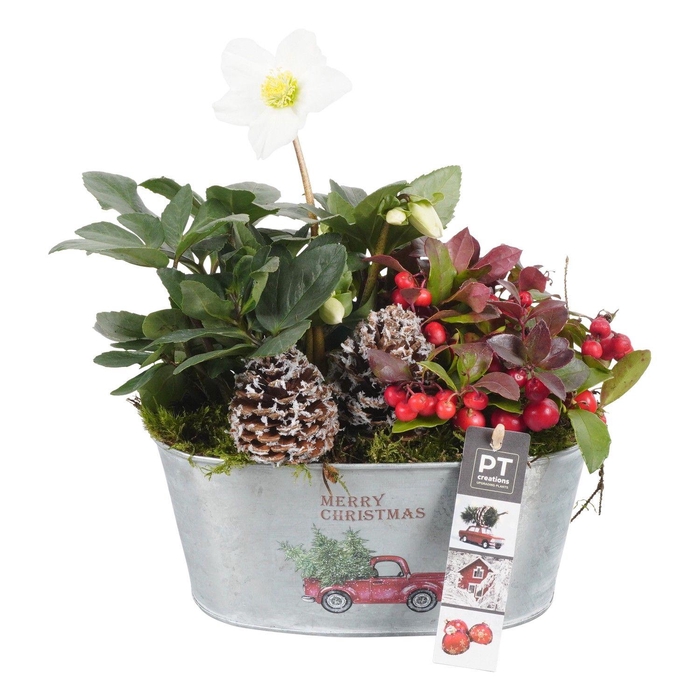 <h4>Garden baskets 22Ø 28cm</h4>