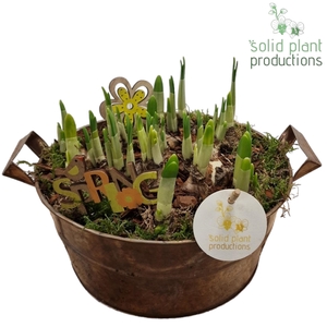 ZTE005 Antique Zinc Tête-á-Tête