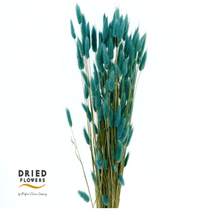 Dried Bleached Lagurus Dark Blue 100gr
