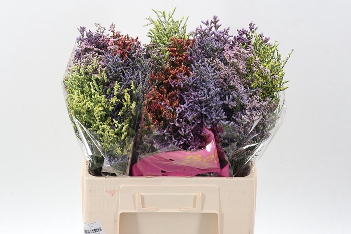 <h4>Lim Sin Diamond Gem</h4>