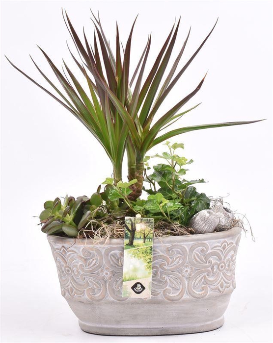 <h4>Cement ovaal met barok look 21.5x12</h4>