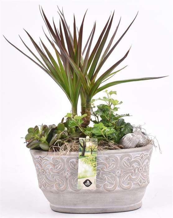 <h4>Cement ovaal met barok look 21.5x12</h4>