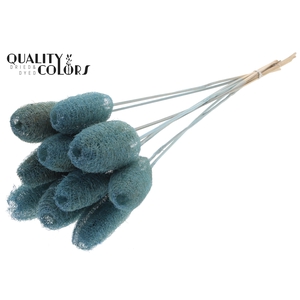 Luffa Mini on stem Light Blue