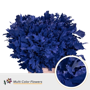 Eik Grof Frost Blauw Donker