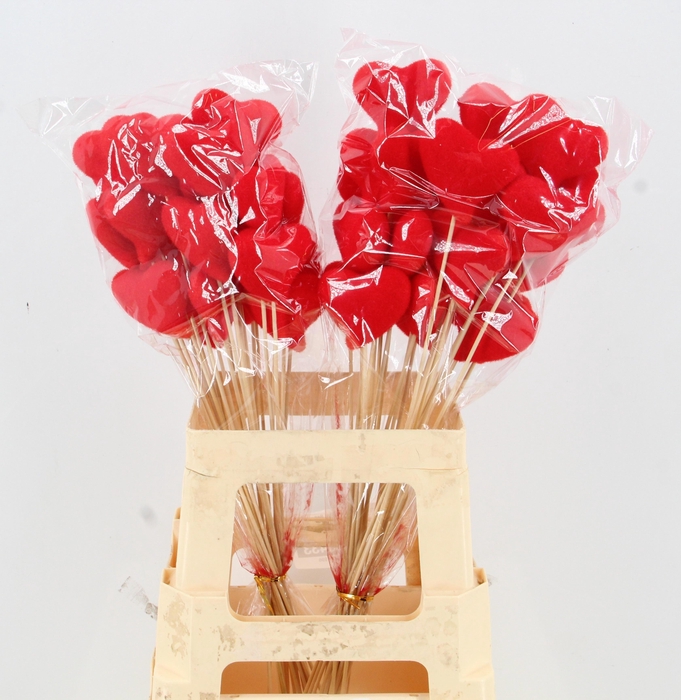 <h4>HUIS EN TUINDECO H%</h4>