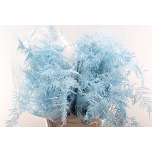 Asp Extra Veer Licht Blauw