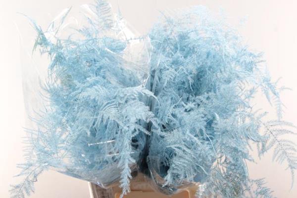 <h4>Asp Extra Veer Licht Blauw</h4>