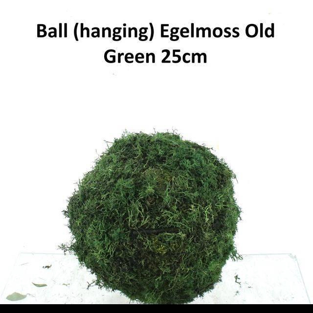 <h4>MOSSEN OV H%</h4>