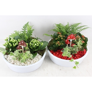 arr2 PL - Ker. schaal 25cm wit - rood/wit