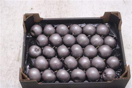<h4>F-waxappel Taupe</h4>