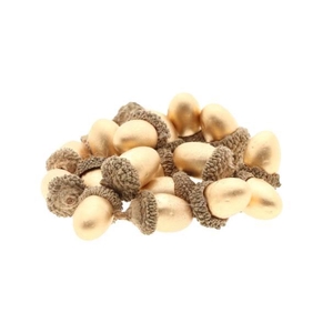 Acorn 20Pcs
