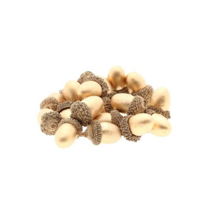 <h4>Acorn 20Pcs</h4>
