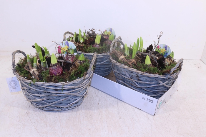 <h4>ARR BOL KNOLGEWAS</h4>