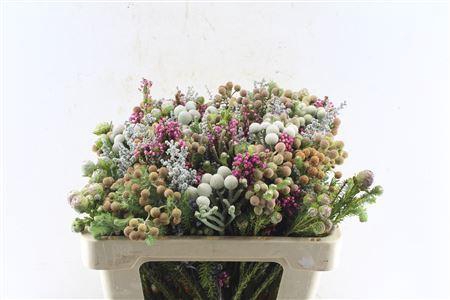 <h4>Kaaps Groen Gemengd In Bos</h4>