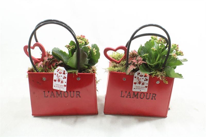 <h4>0. ZKE001 RED BAG</h4>