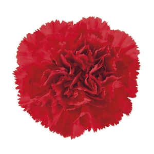 DI ST RED