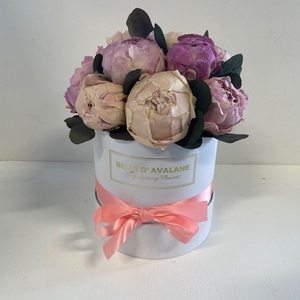 Box rd 15cm Peony wit-roze