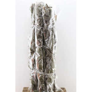 Mostakken Long P 500gr