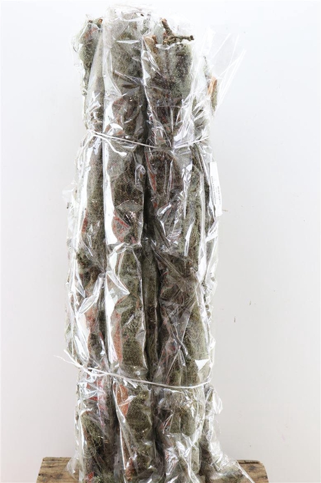 <h4>Mostakken Long P 500gr</h4>