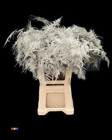 <h4>Asp Extra Platina</h4>