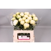 Paeonia Brother Chuck | Heavy Quality