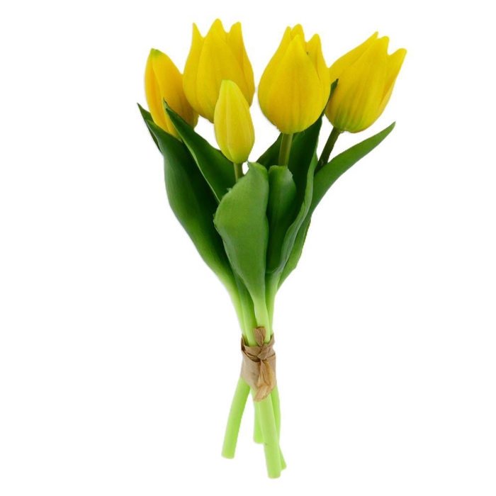 <h4>AF Tulip Pointer Bund x5 L25cm</h4>