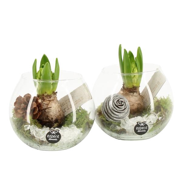 <h4>61683: X-mas arrangement</h4>