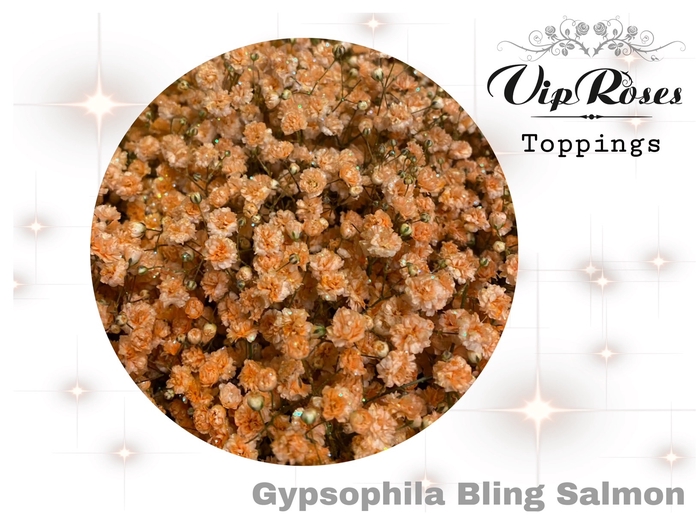 <h4>GYPS PA BLING SALMON</h4>